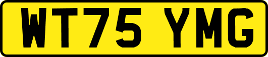 WT75YMG