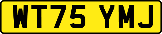 WT75YMJ