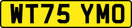 WT75YMO