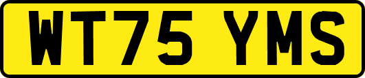 WT75YMS