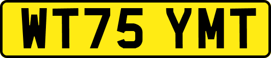 WT75YMT