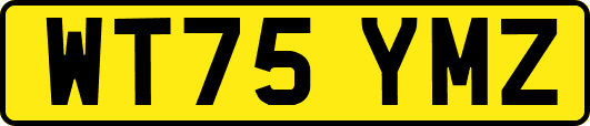WT75YMZ