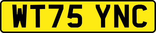 WT75YNC