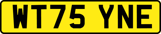 WT75YNE