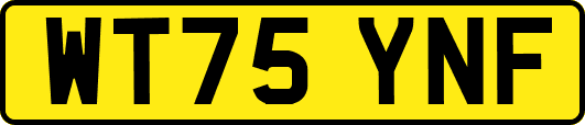 WT75YNF