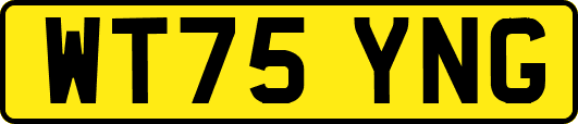 WT75YNG