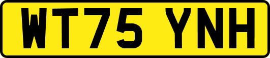 WT75YNH
