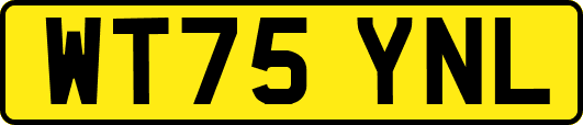 WT75YNL