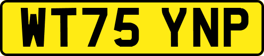 WT75YNP