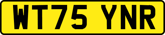WT75YNR