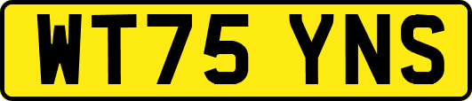 WT75YNS