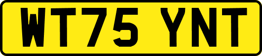 WT75YNT