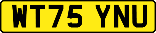 WT75YNU