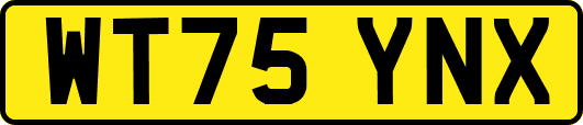 WT75YNX