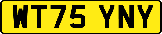 WT75YNY