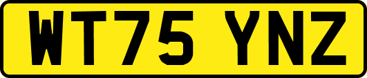 WT75YNZ