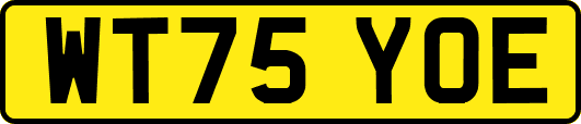 WT75YOE