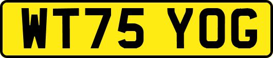 WT75YOG