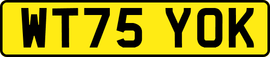 WT75YOK
