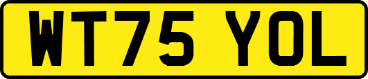 WT75YOL