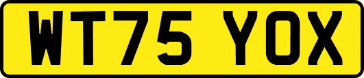 WT75YOX