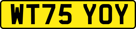 WT75YOY