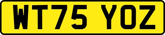 WT75YOZ