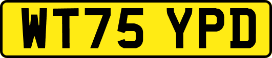 WT75YPD