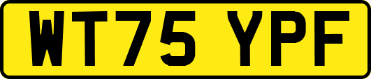 WT75YPF