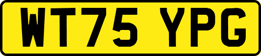 WT75YPG