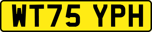 WT75YPH