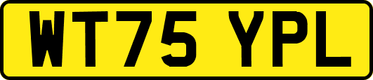 WT75YPL