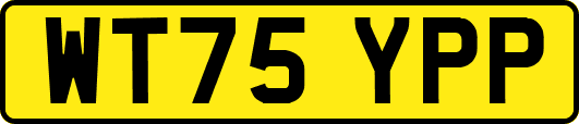 WT75YPP