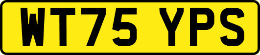 WT75YPS