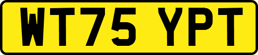 WT75YPT