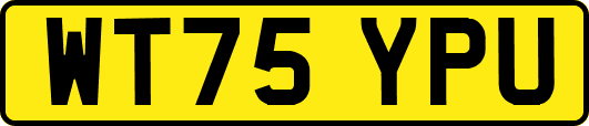 WT75YPU