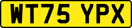 WT75YPX