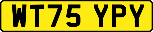 WT75YPY