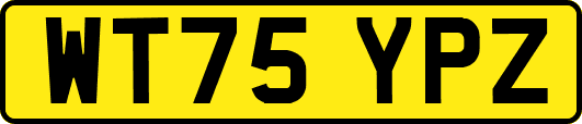 WT75YPZ