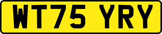 WT75YRY
