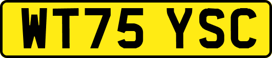 WT75YSC