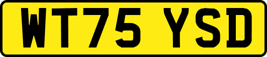 WT75YSD