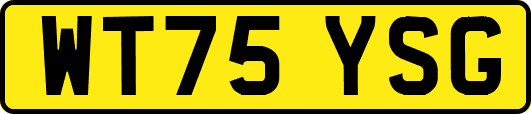 WT75YSG
