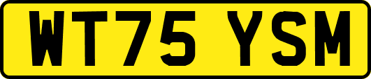WT75YSM