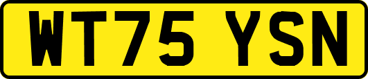 WT75YSN