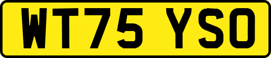 WT75YSO
