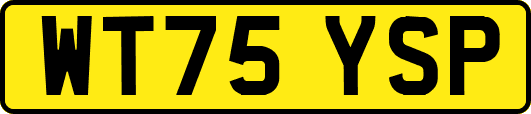 WT75YSP