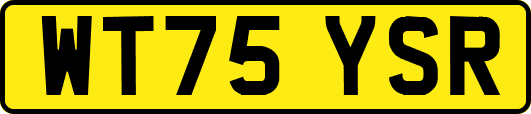 WT75YSR