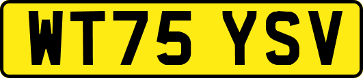 WT75YSV