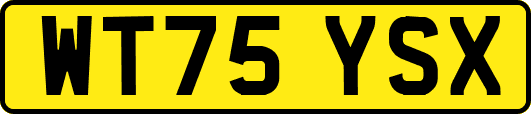 WT75YSX